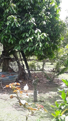 Rural Para Venda, 2 Dormitórios, Parque Da Alvorada - Itanhaém - 12420