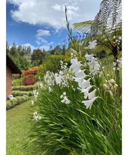 Venta De Encantadora Casa Campestre En Oriente - Don Diego (el Retiro)