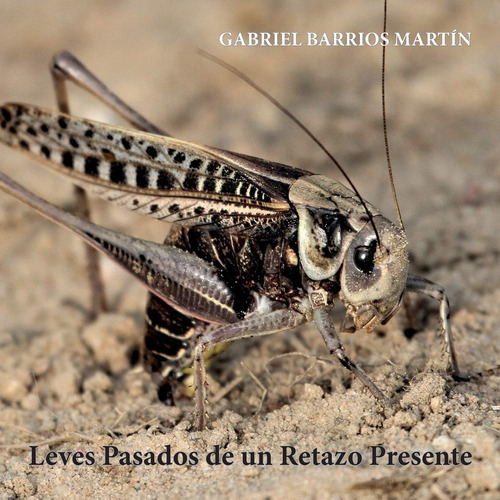 Libro: Leves Pasados De Un Retazo Presente (spanish Edition)