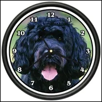 Comprar Signmission Portuguese Water Dog Wall Reloj Dog Doggie Pet R