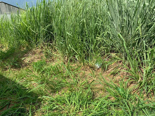 Imagem 2 de 15 de Terreno Para Venda Em Rio De Janeiro, Campo Grande - Rv110_2-1116856
