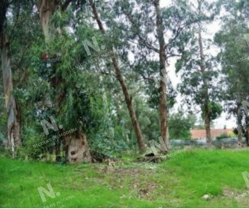 Imagen 3 de 4 de Terreno En Venta A Poca Distancia Del Centro De Convenciones. - Punta Del Este Punta Del Este