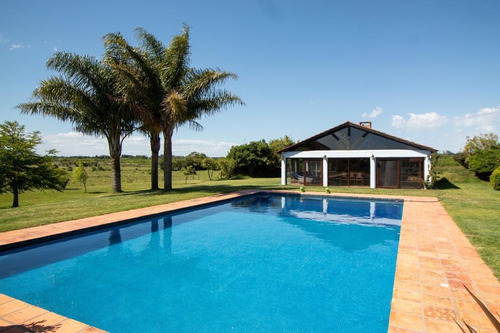 Imagen 6 de 10 de Campo - José Ignacio