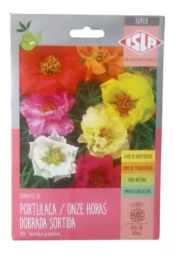 Semente De Flor Onze Horas Portulaca Dobrada Sortida Isla