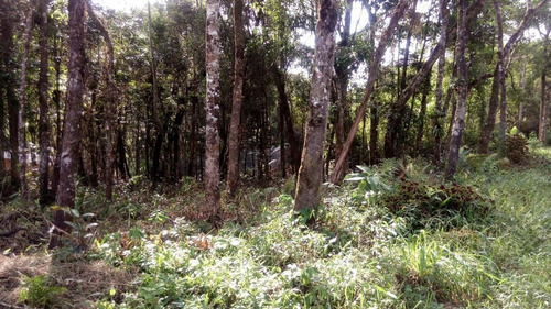 Imagem 8 de 14 de Sitio Com Uma Casa 2 Quartos