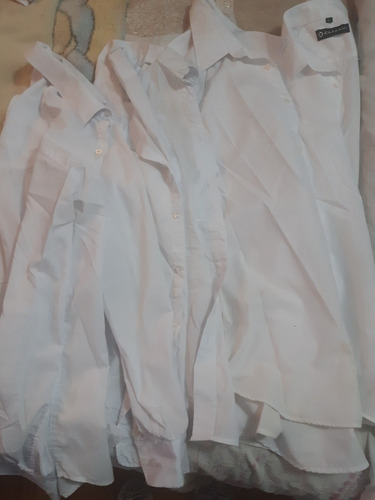 Lote De Camisas Blancas