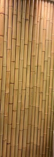 1 Dúzia De Bambu Tratado - N° 4