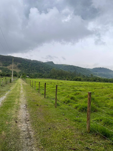 Imagem 11 de 14 de S12- Lotes De 1000m Com Preço Especial