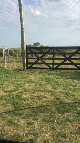 Campo Con Cerro En Ruta 60