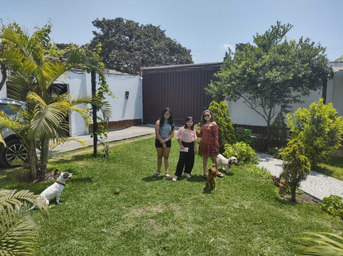Imagen 11 de 20 de Alquiler De Casa De Campo En Huaral