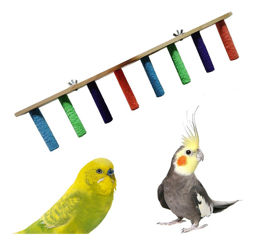 Parrot Perch Stand Bird Window/bath/car/viaje Perca 8 Nivel