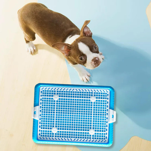 Bandeja Para Orinal Para Perros Y Cachorros, Bandeja De Azul