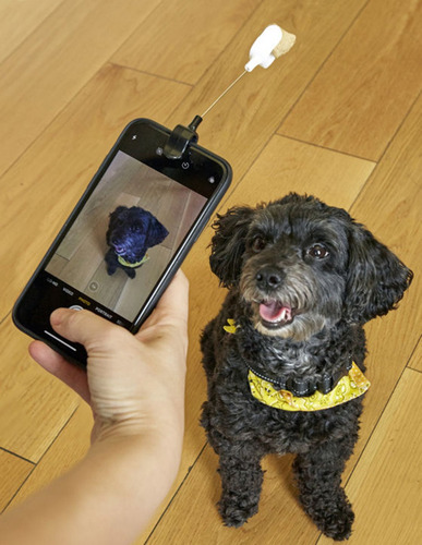 Kikkerland Pinza De Selfie Para Distraer A Un Perro Dig01