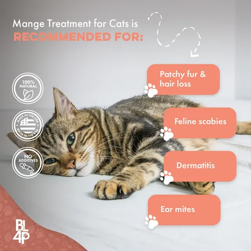 Tratamiento Natural Para Ácaros Del Oído En Gatos