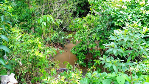 Imagem 8 de 11 de Chacara - Zona Rural - Ref: 955 - V-955