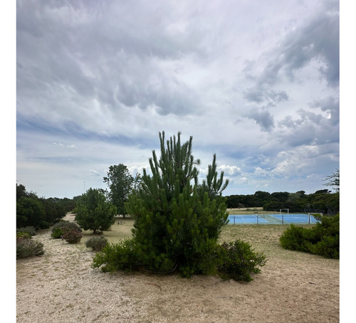 Lote Venta Punta Medanos 1000 Metros Cerca De La Playa F34