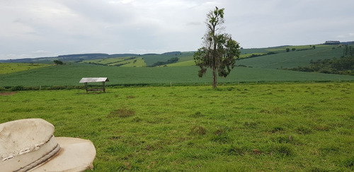 Imagem 8 de 9 de Fazenda 213 Alqueires, Dupla Aptidão, Topografia Plana, Rica Em Água Com Nascentes, Aproveitamento De 85%, Casa Sede, Casa Caseiro, Curral, Galpão - Fa00150 - 70381316