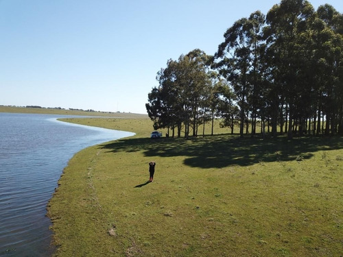 Imagem 4 de 16 de Fazenda 928 Alqueires, Rica Em Água Com Represas, 261 Hectares Em Lavoura, 1895 Hectares Em Pastagem, Pivô, Casas Sede E Funcioarios, Curral - Fa00194 - 70582923