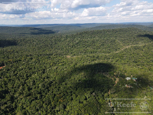 Imagen 20 de 30 de Grandes Extensiones De Bosque Nativo En Misiones - Bonos Verdes- Ideal Conservacionistas