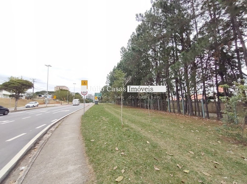Imagem 4 de 15 de Terreno Comercial - Alem Ponte - Ref: 30742 - V-30742