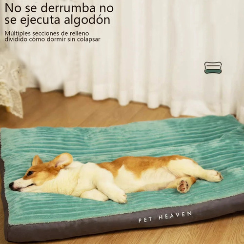 Cama Colchon Ortopedico Premium Extra Grande Perro 100 Libra