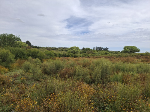 Venta De Chacra Rincón De Melilla 3.5ha !!!