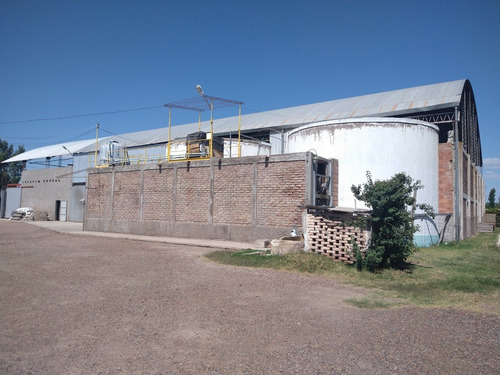 Imagen 1 de 10 de Bodega En Palmira
