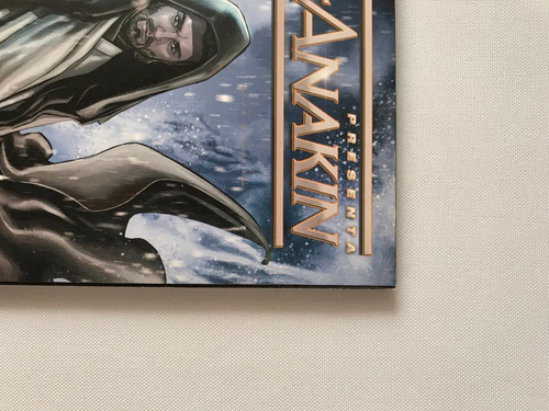 Obi Wan Y Anakin Edicion Especial Star Wars Panini Comics (Usado)