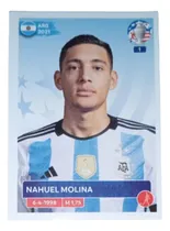 Comprar Copa América Usa 2024 Panini Jugadores De Argentina Elegilas