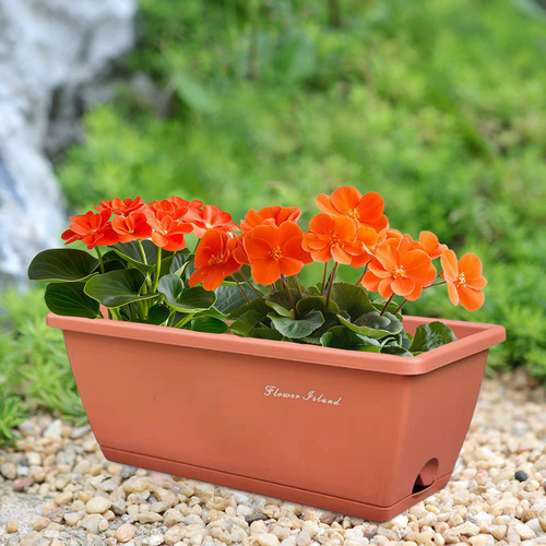 Plantador De Caja De Ventana Con Agujeros De Drenaje Rojo
