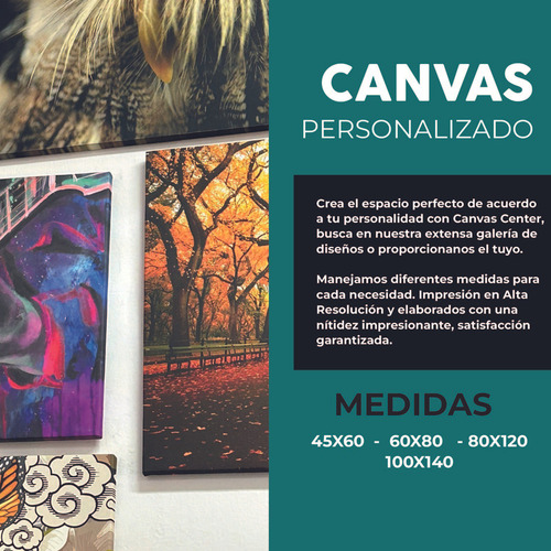 Cuadro Lienzo Canvas Mujer Sensual Mascara Cuarto 60*80cm