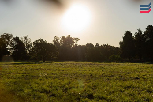 Hermoso Campo En Venta, 4has | B° Las Casuarinas, Luján