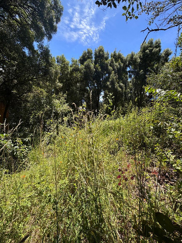Casa A Terminar En Venta En Ladera Norte