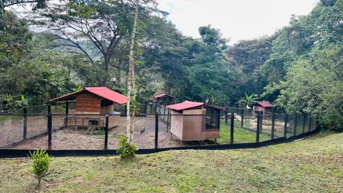 Casa En Venta En La Vega. Cod V13809