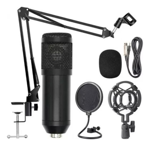 Micrófono Condensador Profesional Podcast Bm800 Usb Estudio