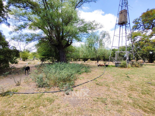 Venta Campo 36,2ha En Toledo Chico Con Chacra Y 2 Pozos
