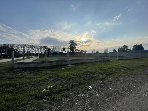 Hermoso Terreno Nivelado, Bien Delimitado, Y Pronto Para Edificar