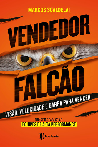 Vendedor falcão, de Scaldelai, Marcos. Editora Planeta do Brasil Ltda., capa mole em português, 2016