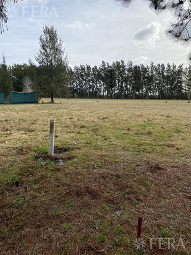 Imagen 2 de 7 de Venta De Terreno En Club Miralagos 2 (28340)