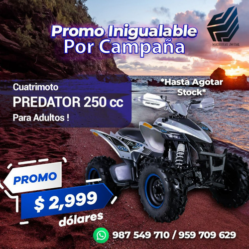 Imagen 3 de 21 de Cuatrimoto Predator 250cc Deportiva Mecanica 16hp. 0 Kl 2023