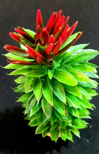 Adorno, Planta Artificial Para Acuario/ Terrario, Aloe 15 Cm