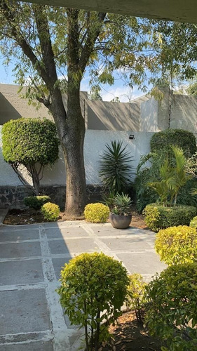 Imagen 3 de 24 de Terreno En Jardines Del Pedregal