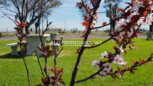 Imagen 3 de 6 de Lote En San Lucas San Vicente Canning