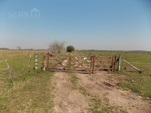 Imagen 7 de 13 de Venta De Campo De 28,6 Has Ubicado Entre Campana Y Capilla Del Señor