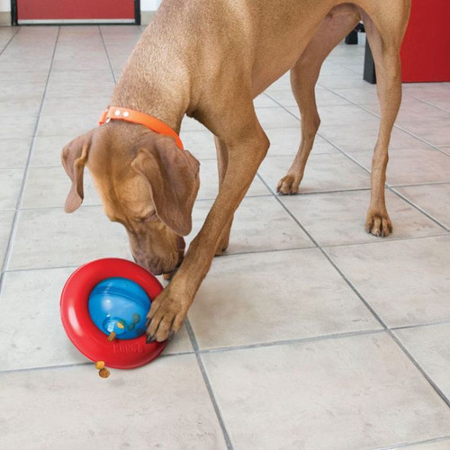 Imagen 4 de 8 de Kong Gyro Juguete Perros Small Dispensador Alimento-