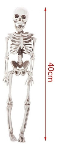 Esqueleto  Humano Ativo Modelo Anatomia Arte Esboço 40cm