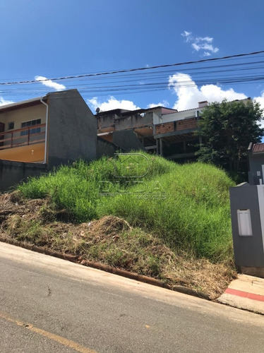 Imagem 3 de 3 de Terreno - Bela Vista - Ref: 33564 - V-33561