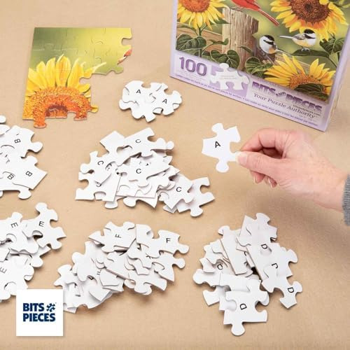 Rompecabezas Bits And Pieces 100p, Ingenio Y Colorido
