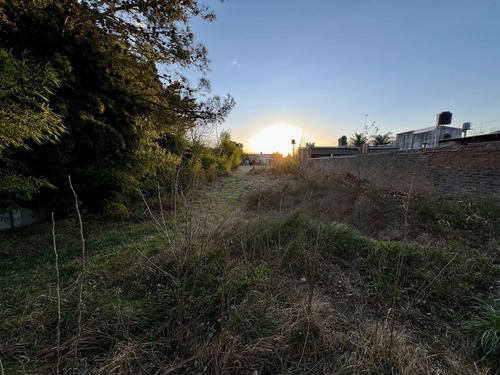 Ibarlucea Y Santa Teresa - Terreno En Venta - Andino
