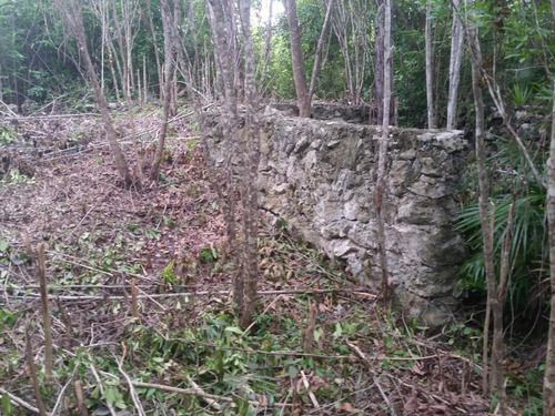 Imagen 9 de 12 de Terreno En Venta Cuna Maya Smza. 205